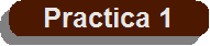 Practica 1